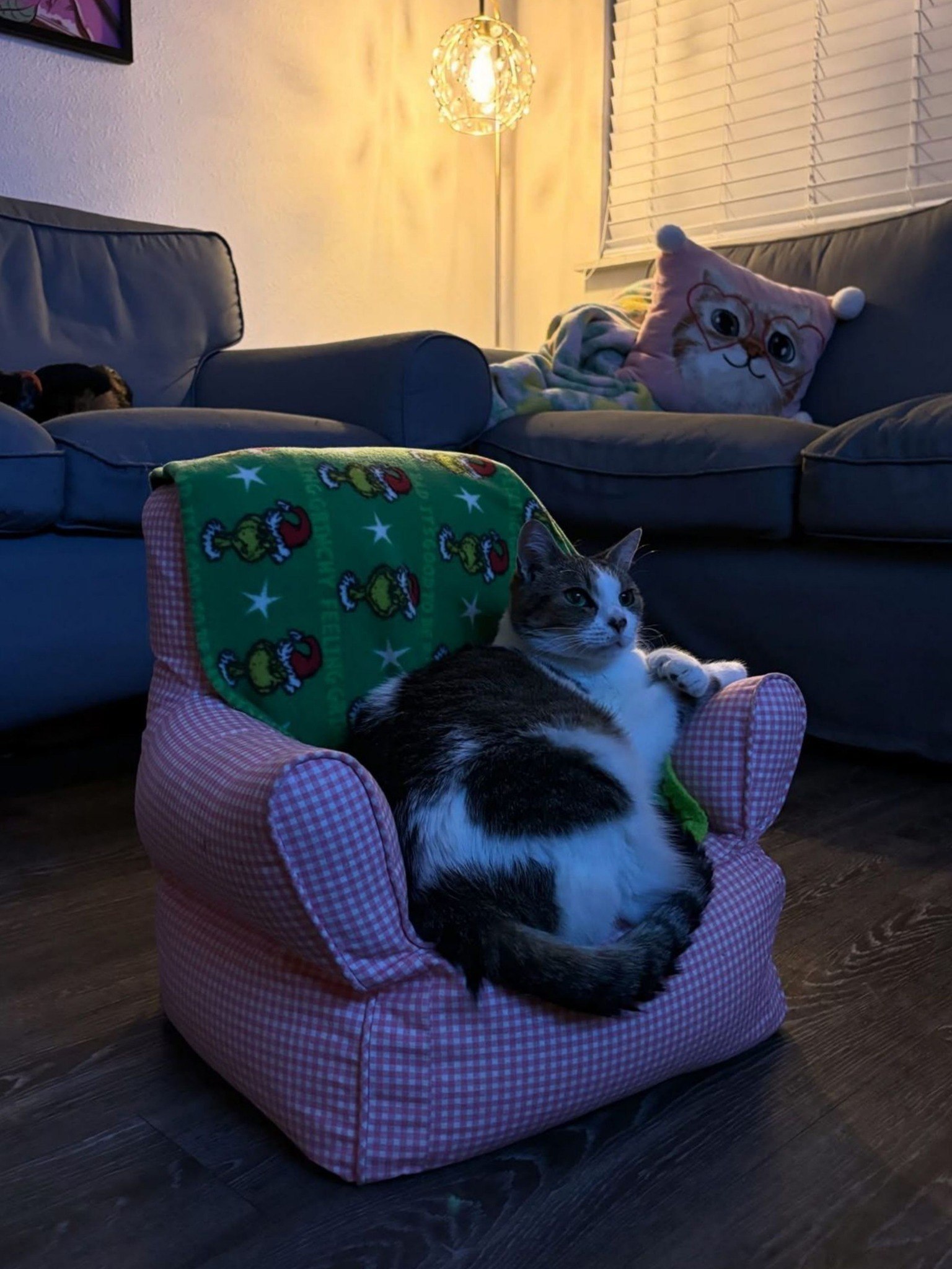 This photograph shows a large, overweight grey-and-white domestic cat comfortably reclining in a small child-sized pink checkered armchair, with its front paws resting casually on the chair's armrest. A green Grinch-themed blanket is draped over the back of the small chair. In the background, a partially visible small dog rests on a large grey sofa to the left, while another large grey sofa to the right holds a cat-shaped decorative pillow, next to a window with blinds and a glowing glass floor lamp. The humor comes from the cat's large size fitting snugly into the tiny chair meant for a child, playing on the common cat behavior of seeking out small, cozy spaces regardless of their actual size.