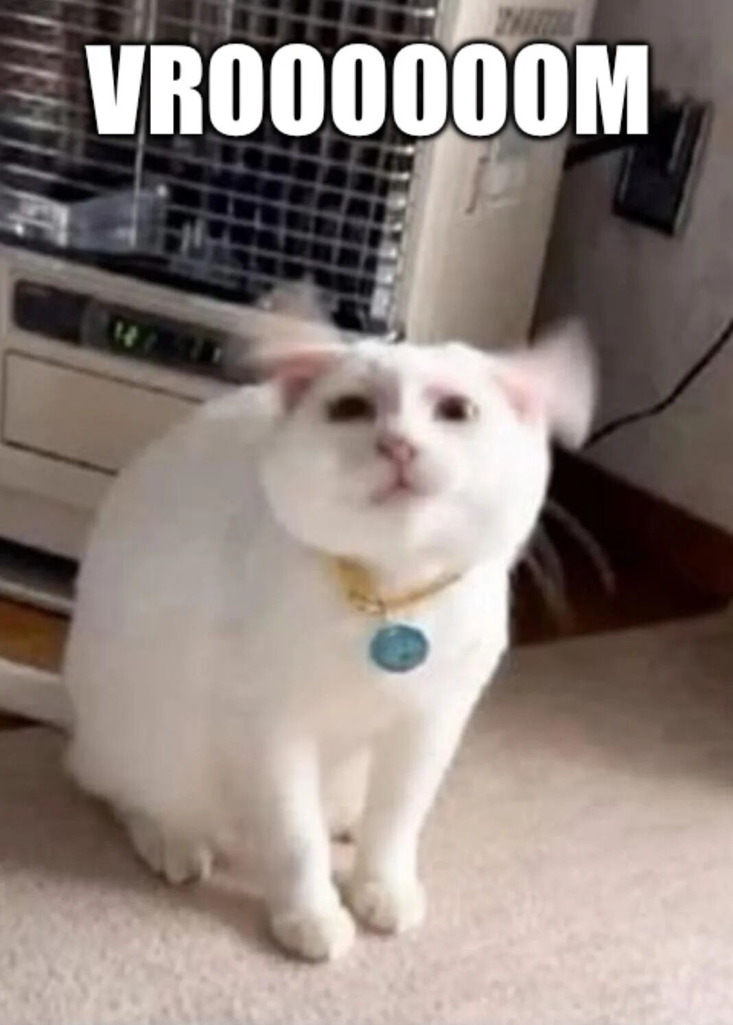 A photograph of a white cat with a yellow collar and blue tag sitting on a carpeted floor in a kitchen-like setting. The cat's ears are blurred, indicating rapid motion, as if flapping. Above the cat, large, bold white text reads 'VROOOOOM,' mimicking the sound of a vehicle engine. The background features a tiled backsplash, a stove with a digital clock, and kitchen cabinets, suggesting a home environment. The combination of the blurred ears and 'VROOOOOM' text creates a humorous impression that the cat is imitating a speeding vehicle or helicopter with its flapping ears.