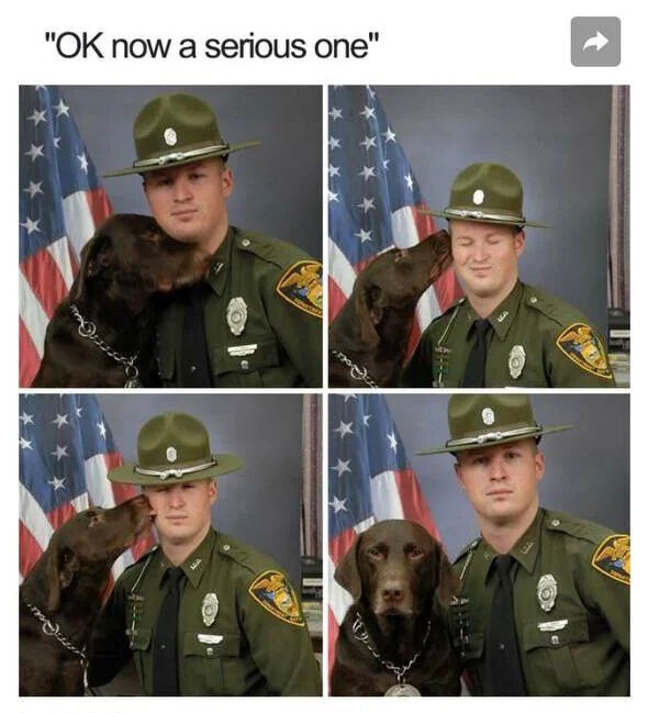 A 2x2 grid meme featuring four sequential photos of a uniformed law enforcement officer and his brown K-9 dog. The top text reads 'OK now a serious one,' setting up the humor of their failed attempt to take a serious photo. In the first three photos, the dog playfully licks the officer's cheeks, causing the officer to transition from a neutral expression to a smile and then slight amusement. The fourth photo shows both the officer and dog posing calmly with serious expressions, as if finally succeeding in taking the 'serious' photo they intended. The background in all photos is an American flag, emphasizing the officer's official role.