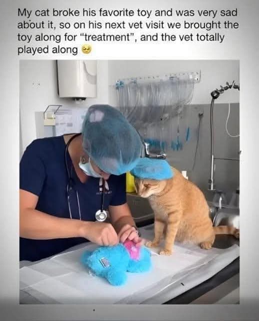 A heartwarming image of a veterinarian in blue scrubs and a surgical cap carefully repairing a blue stuffed toy with pink accents on a white examination table. An orange cat sits attentively beside the vet, watching the 'treatment' process. The background features typical vet clinic equipment, including hanging medical tools and a stethoscope around the vet's neck. Above the image, a text caption explains the context: the cat was sad after breaking its favorite toy, so the owner brought the toy to the vet visit for 'treatment,' and the vet kindly played along.