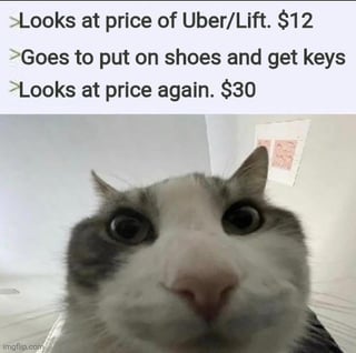 This meme combines a 4chan-style greentext narrative with a close-up reaction image of a wide-eyed shocked cat. The greentext describes a common frustrating experience with ride-sharing apps: a user first checks the price of an Uber or Lyft ride and sees it costs $12. They go to get ready to leave by putting on their shoes and grabbing their keys, then check the price again just to confirm, only to find the price has jumped dramatically to $30 due to surge pricing. The cat's stunned wide-eyed expression perfectly captures the user's shocked and annoyed reaction to the unexpected price hike.