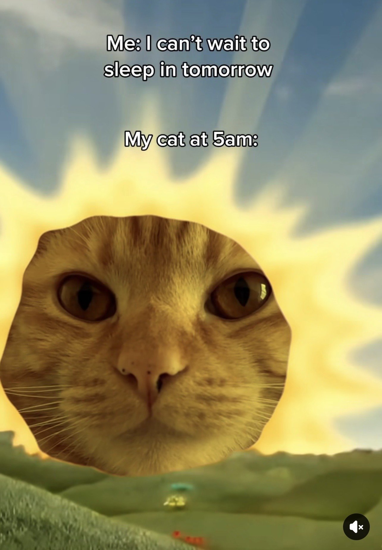This relatable pet meme features two lines of text at the top: first, 'Me: I can't wait to sleep in tomorrow', second, 'My cat at 5am:'. Below the text, an edited sunrise over rolling green hills has the sun replaced with a close-up of an orange tabby cat's face, staring intensely directly at the viewer. The joke refers to the common experience of cat owners whose pets consistently wake them up very early in the morning, even when they plan to sleep late on a day off.