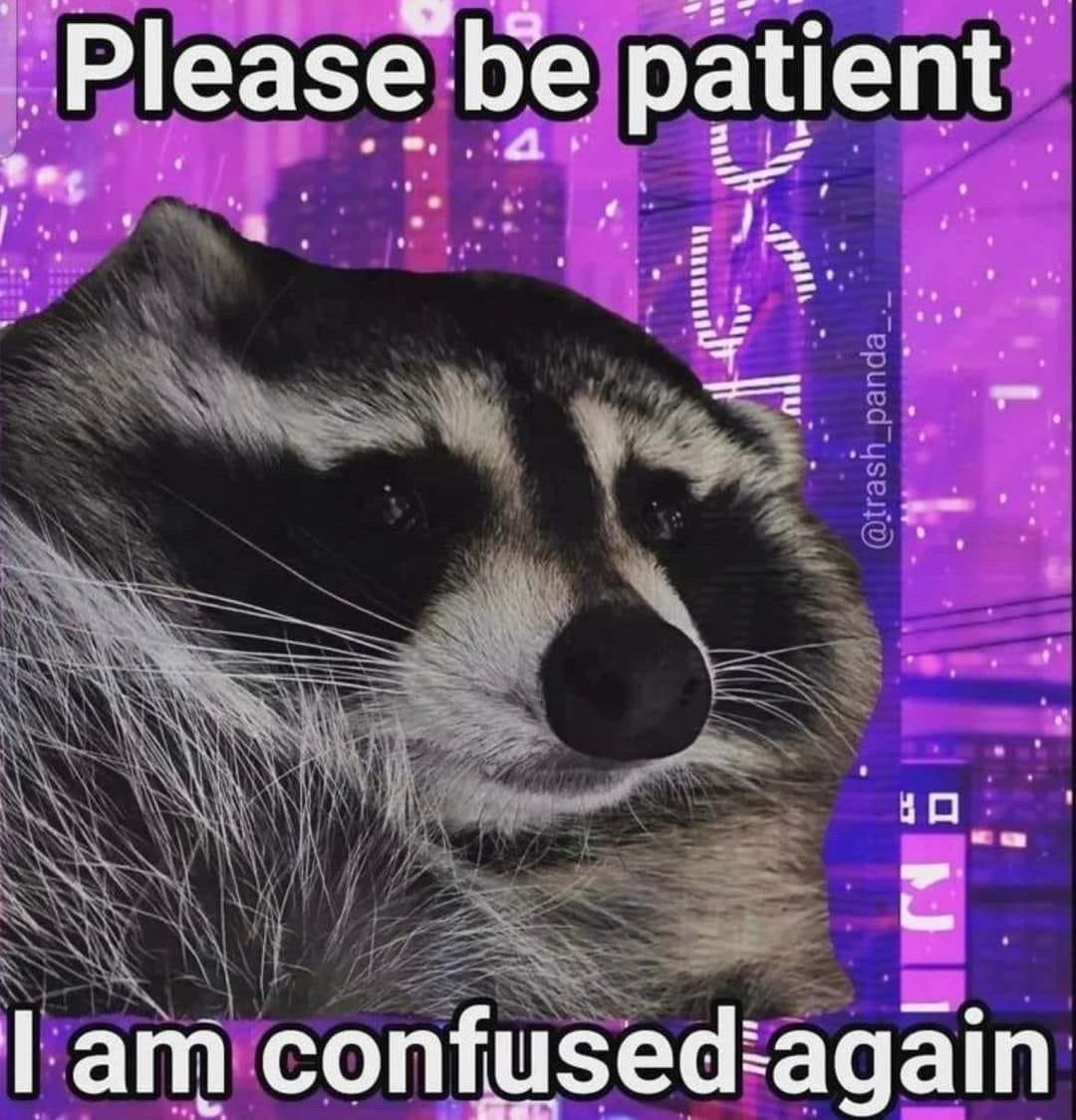 This is a single panel reaction meme featuring a close-up shot of a real raccoon with a dazed, confused, slightly tired expression. The raccoon is placed against a glowing neon purple futuristic cyberpunk city background with scattered floating light specks. Bold white text with a black outline appears at the top reading 'Please be patient', and matching text at the bottom reads 'I am confused again'. The meme conveys a highly relatable feeling of being disoriented, overwhelmed, or unable to process information, asking others for leniency while the user navigates a confusing situation.