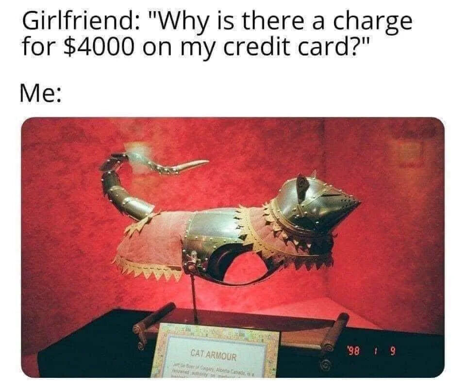 The meme consists of two parts: top text showing a conversation where a girlfriend asks about a $4000 credit card charge, followed by 'Me:' leading to a photograph of ornate cat armor on display. The armor is metallic with decorative elements, mounted on a stand against a red background, with a visible label reading 'CAT ARMOUR'. The humor arises from implying the exorbitant charge was spent on the unusual cat armor, creating a relatable yet absurd scenario of overspending on pet accessories.