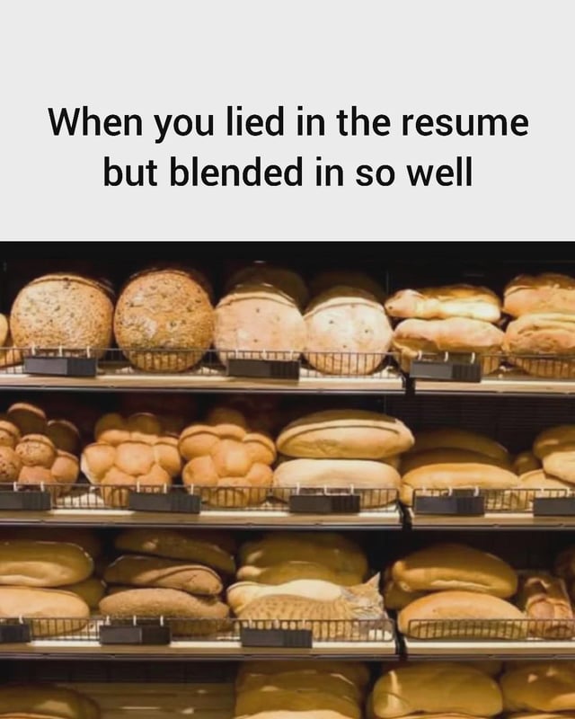 The meme consists of two parts: black text on a plain white background at the top, followed by a photograph of bakery shelves stocked with a wide variety of different loaves of bread, all arranged neatly and appearing to belong together. The joke works as a relatable metaphor: the scenario of lying about qualifications on a resume, then succeeding at fitting into the new role seamlessly without being discovered, is compared to an out-of-place item that perfectly blends in with the assortment of bread on the shelves, looking identical enough to the other loaves that no one notices it does not belong.