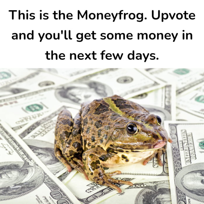 The meme displays a common spotted brown frog sitting atop a scattered pile of US 100 dollar bills. Large black text above the image reads "This is the Moneyfrog. Upvote and you'll get some money in the next few days." The joke plays on the absurdity of superstitious internet luck posts, with the poster implying they will upvote the post rather than risk missing out on potential money, which aligns with the original post title "I'm not taking any chances".