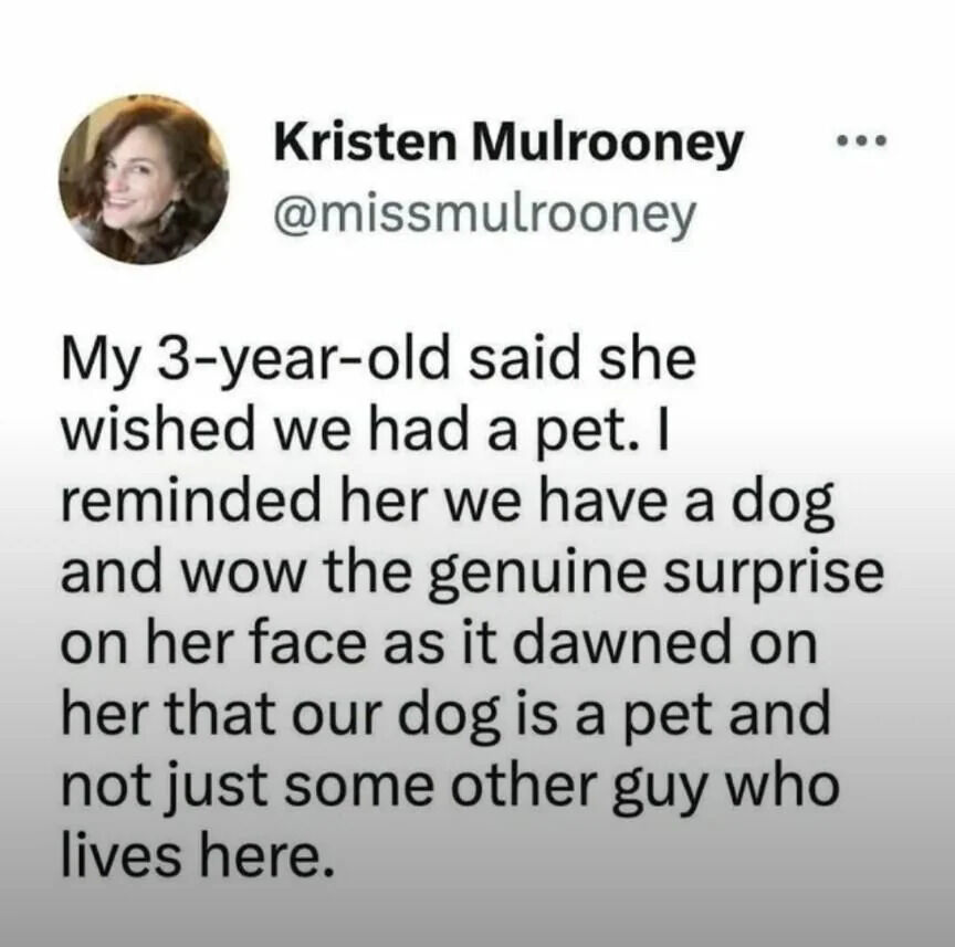A screenshot of a Twitter/X post by Kristen Mulrooney (@missmulrooney) describing a humorous parenting moment. The tweet text reads: 'My 3-year-old said she wished we had a pet. I reminded her we have a dog and wow the genuine surprise on her face as it dawned on her that our dog is a pet and not just some other guy who lives here.' The post includes Mulrooney's profile picture, a smiling woman with curly hair. The humor arises from the child's innocent misunderstanding that the family dog is merely a housemate rather than a pet, capturing a relatable and endearing parenting anecdote.
