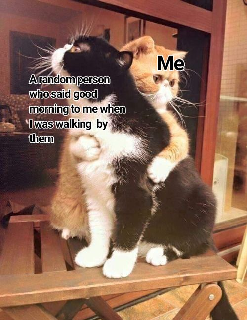 The image depicts two cats in a cozy indoor environment. A black and white cat sits upright on a wooden surface, while an orange cat stands behind it, wrapping its front paws around the black and white cat's shoulders in a hugging gesture. Overlaid text identifies the orange cat as 'A random person who said good morning to me when I was walking by them' and the black and white cat as 'Me'. This visual metaphor uses the affectionate interaction between the cats to humorously and wholesomely represent the warm, positive emotion felt when receiving an unexpected kind greeting from a stranger.
