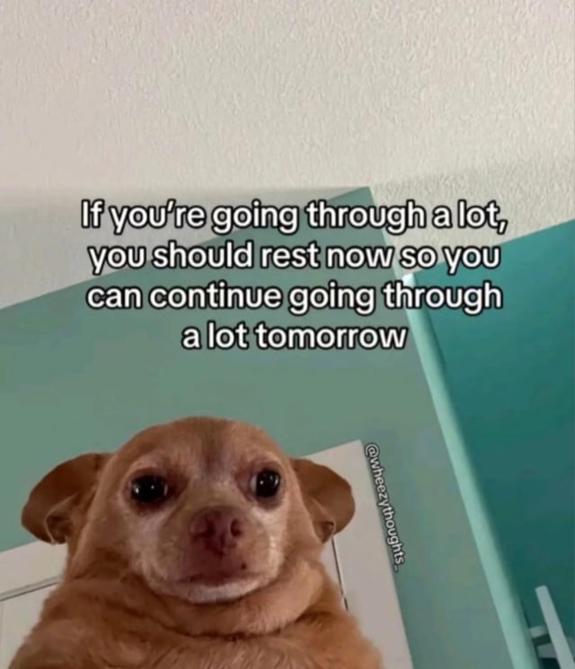 This is a meme featuring a real photo of a small brown Chihuahua with a sad, weary expression looking directly at the viewer. Overlaid on the image is text that reads: 'If you’re going through a lot, you should rest now so you can continue going through a lot tomorrow'. The meme uses the resigned look of the dog to emphasize the darkly humorous, relatable joke: it twists common self-care advice, acknowledging that hardship will continue tomorrow instead of promising things will get better, matching the original title's theme of preparing for future suffering.