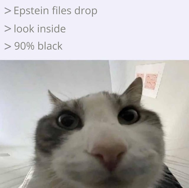 A meme featuring a close-up photograph of a cat with wide, startled eyes looking directly at the camera. Above the cat image is text that reads: '> Epstein files drop > look inside > 90% black'. The cat's shocked expression humorously contrasts with the text about the Epstein files, creating a sarcastic commentary on the perceived lack of substantial information in the released documents. The cat appears to be in a room with white walls and some indistinct artwork visible in the background.