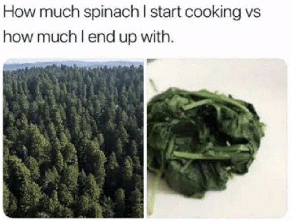 This is a two-panel comparison meme joking about the extreme volume reduction of spinach when cooked. The text at the top of the meme reads 'How much spinach I start cooking vs how much I end up with.' The left panel is an aerial shot of a vast, dense green forest, used to exaggerate the large amount of raw spinach someone begins with before cooking. The right panel shows a small, wilted clump of cooked spinach on a plain white surface, representing the tiny final portion left after the spinach cooks down, highlighting the relatable, surprising difference between raw and cooked spinach volume.