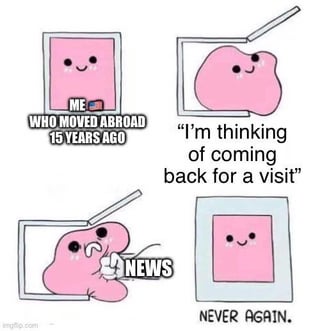 A four-panel comic featuring a simple pink blob-like character. Panel 1 shows the character labeled 'ME WHO MOVED ABROAD 15 YEARS AGO' with a small US flag icon, appearing neutral. Panel 2: The character looks thoughtful, with the text 'I'm thinking of coming back for a visit'. Panel 3: The character appears shocked, holding a sign labeled 'NEWS'. Panel 4: The character has a determined expression with the text 'NEVER AGAIN.' The sequence humorously depicts an expat's hesitation to return home after encountering concerning news.
