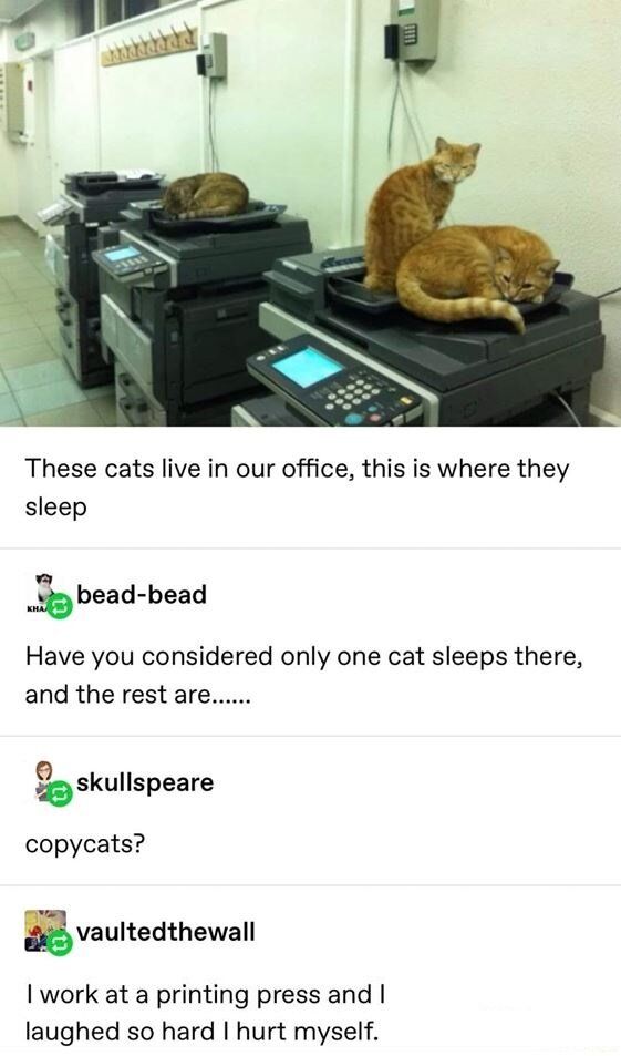 This meme features a photograph of three orange tabby cats resting on the scanner beds of three office copy machines, lined up against a hallway wall in an office. Below the photo is a screenshot of a social media comment thread: the original poster shares that these office cats sleep on the copiers. A commenter sets up a joke, asking what if only one cat sleeps there, and the rest are... Another commenter delivers the pun punchline: 'copycats?', which plays on the double meaning: copy machines, and the term 'copycat' meaning someone who copies/imitates others. A final comment from a user who works at a printing press says they laughed so hard at the pun that they hurt themselves.
