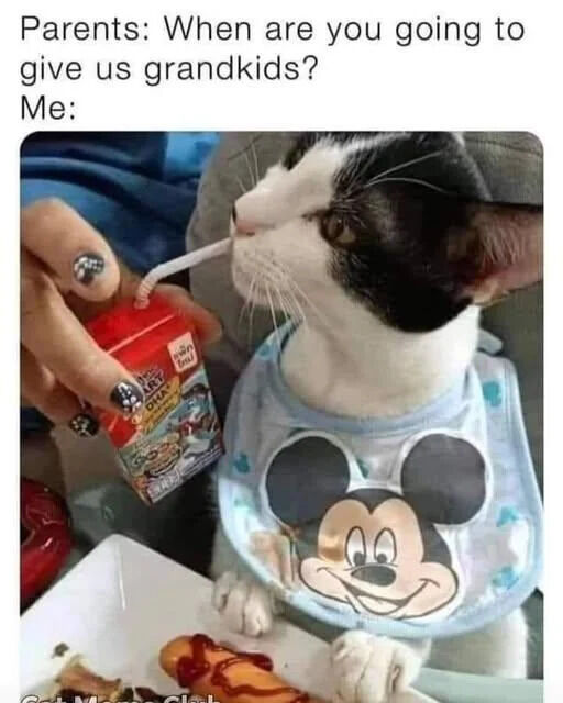 A meme featuring a two-part text overlay and a photograph. The top text reads: 'Parents: When are you going to give us grandkids? Me:' Below the text is a photograph of a real cat wearing a light blue bib with a large Mickey Mouse face print. The cat is seated at a table, with a hand (with painted nails) holding a red Kool-Aid juice box, feeding the cat through a straw. In front of the cat on a white plate is a hot dog with ketchup. The cat appears calm and indifferent, creating a sarcastic visual metaphor for avoiding the parents' question about having grandchildren.