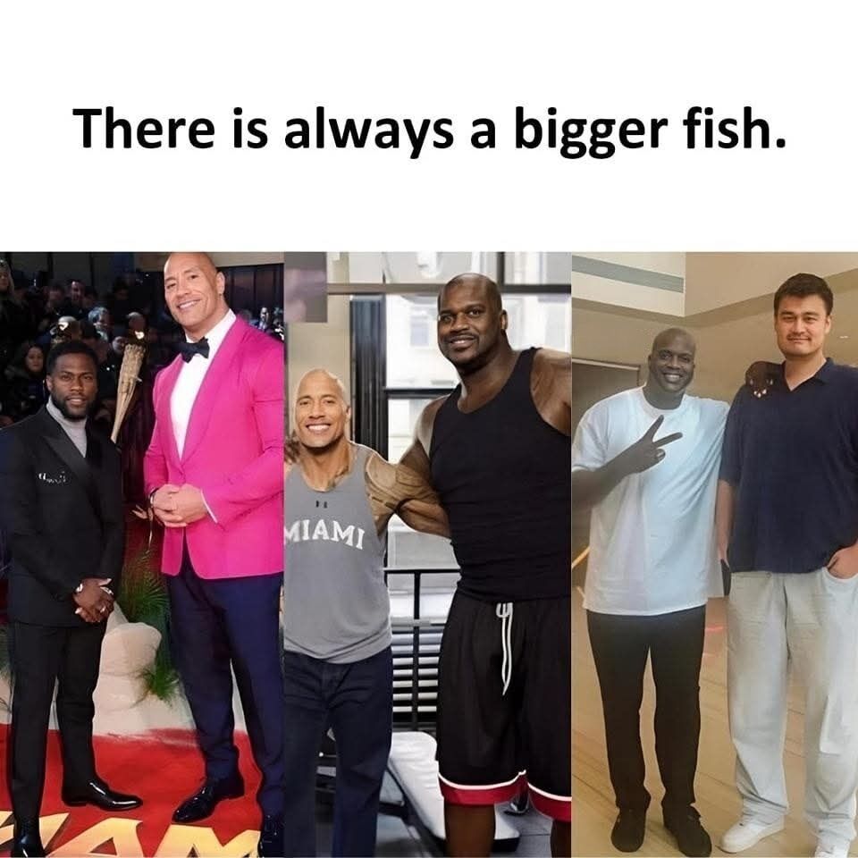 This meme is a collage of three side-by-side photographs paired with the common English idiom 'There is always a bigger fish' at the top, to literalize the idiom with height comparisons of very tall, famous public figures. The first photo shows comedian Kevin Hart, who is shorter in stature, standing next to actor and former wrestler Dwayne 'The Rock' Johnson, who is widely considered very large and tall. The second photo shows Dwayne Johnson standing next to former professional basketball player Shaquille O'Neal, who towers over Johnson. The third photo shows Shaquille O'Neal standing next to former professional basketball player Yao Ming, who is even taller than O'Neal. The comedic effect comes from showing that each person perceived as very large or impressive in their own right is still smaller than someone else, matching the meaning of the idiom that there is always someone more powerful, capable, or larger than you.