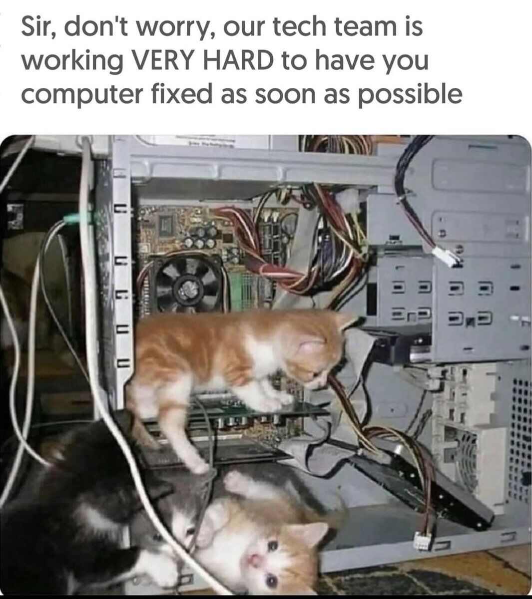This meme uses a humorous contrast between text and imagery to create a joke about tech support. The top text reads: "Sir, don't worry, our tech team is working VERY HARD to have you computer fixed as soon as possible". Below this text, the image shows three small kittens (an orange-white tabby, a black-white kitten, and another orange-white tabby) crawling, standing, and playing inside an open desktop computer tower. The kittens are interacting with the motherboard, cables, and internal components of the PC, clearly causing chaos rather than repairing the machine. The irony lies in framing these destructive, curious kittens as the "hardworking tech team", poking fun at common frustrations with slow or ineffective tech support while leaning into the wholesome, chaotic appeal of pet content.