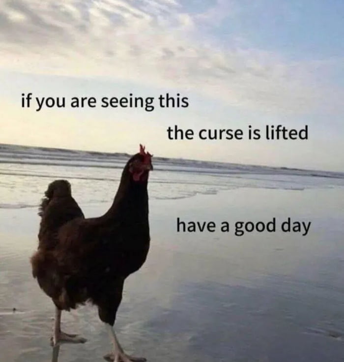 The image features a dark brown domestic chicken standing on wet, reflective beach sand at either sunrise or sunset, with the ocean shoreline and soft cloudy sky in the background. Overlaid on the image across the sky and beach area are three lines of plain black text: 'if you are seeing this', 'the curse is lifted', and 'have a good day'. The meme jokes about the popular internet 'immortal snail' curse trope, where a person is granted immortality and a large sum of money but is forever chased by an immortal snail that kills them on contact; the image playfully claims to lift this fictional curse for anyone who views it, while wishing viewers a positive day.