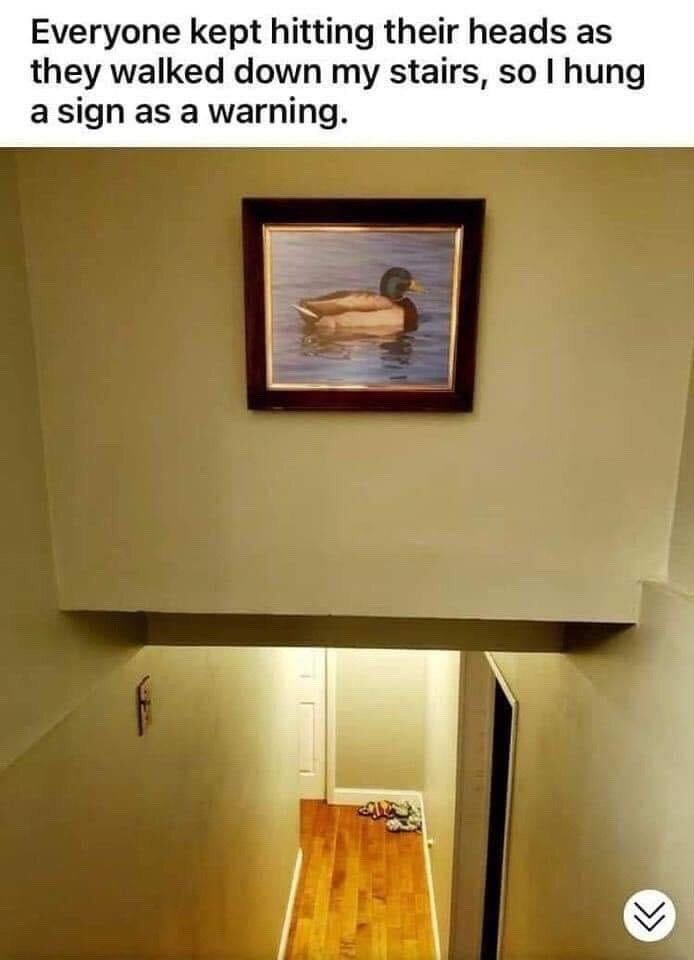 The image displays a view from the top of a narrow residential staircase with a very low overhanging ceiling positioned such that people walking down the stairs are highly likely to hit their heads on it. Text above the photograph reads: 'Everyone kept hitting their heads as they walked down my stairs, so I hung a sign as a warning.' Instead of a standard printed warning sign, the poster hung a framed painting of a mallard duck floating on water on the low ceiling. The joke is a pun on the word 'duck', which can be used as a verb meaning to lower one's head to avoid a collision, as well as a noun referring to the waterfowl pictured in the artwork.