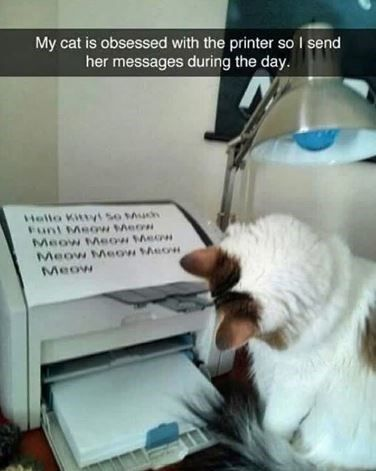 This wholesome viral pet meme shows a real white and brown domestic cat curled right next to a desktop printer, intently examining a printed page that just came out of the machine. The top text explains that the cat is obsessed with the printer, so her owner prints little custom messages for her throughout the day. The printed note on the page greets the cat and is full of repeated 'meow' text, playing into the cute joke of communicating with the cat via the device it loves.