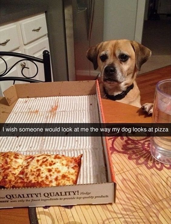 A photograph of a small brown dog sitting at a wooden table, leaning forward with its front paws resting on the table, gazing intently at an open pizza box. The pizza box contains two remaining slices of cheese pizza, with visible grease stains on the white cardboard liner. A clear glass of water is placed next to the box on a wooden placemat with a red floral pattern. The background shows a kitchen with white cabinets and a stainless steel refrigerator. Overlaid text at the bottom of the image reads: 'I wish someone would look at me the way my dog looks at pizza,' creating a humorous and wholesome contrast between the dog's eager focus on the pizza and the human desire for similar affection.