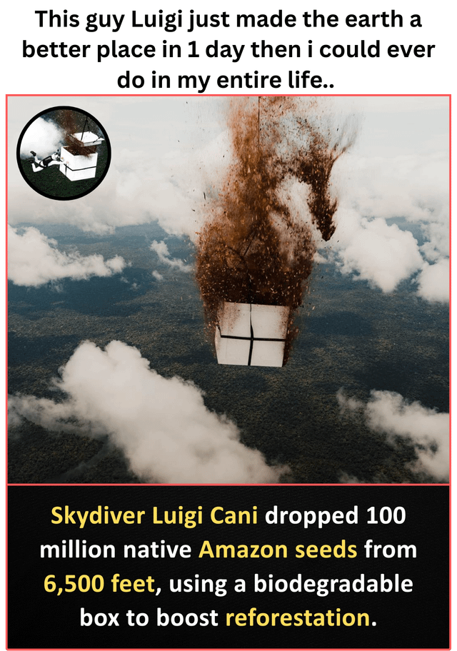 The image consists of three main parts: a top text expressing admiration ('This guy Luigi just made the earth a better place in 1 day then i could ever do in my entire life..'), a central aerial photograph showing a biodegradable box releasing a large quantity of brown particles (presumed to be seeds) while falling through clouds over a forested landscape, and a bottom explanatory text detailing the action. An inset circular image in the top-left corner shows a skydiver (Luigi Cani) with the biodegradable box. The composition aims to highlight an environmental reforestation effort through a visually striking aerial perspective.