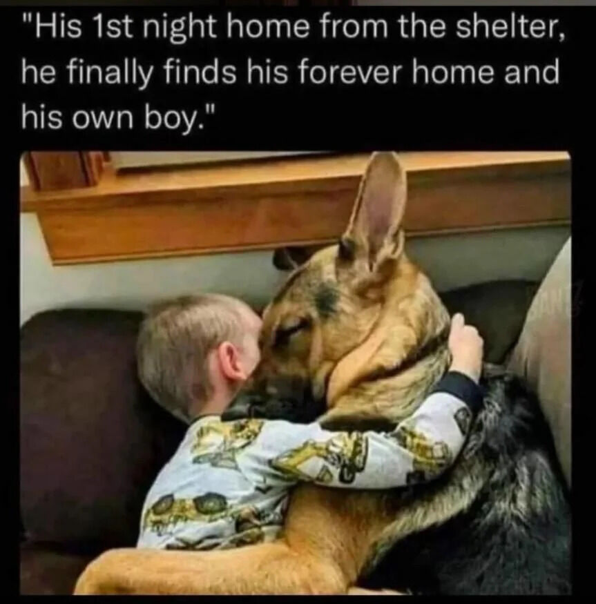 A heartwarming photograph showing a young boy and a German Shepherd dog hugging tightly on a brown couch. The boy, with short blonde hair, is wearing light-colored pajamas adorned with yellow and black cartoon prints. He has his arms wrapped around the dog's neck, pressing his cheek against the dog's head. The German Shepherd, with a tan and black coat, has its eyes closed and appears calm and relaxed, leaning into the boy's embrace. Above the image, there is white text that reads: 'His 1st night home from the shelter, he finally finds his forever home and his own boy.' The scene conveys a strong sense of affection and comfort, highlighting the bond formed between the newly adopted dog and the child.