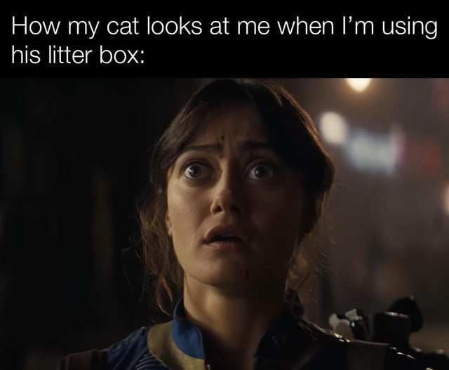 A meme consisting of a screenshot of a real woman with a dramatic, shocked expression (wide eyes, raised eyebrows, and an open mouth) paired with a caption at the top: 'How my cat looks at me when I’m using his litter box:'. The image humorously anthropomorphizes a cat's reaction, implying the cat feels betrayed or surprised by someone using its litter box, using the woman's exaggerated facial expression to convey this emotion.
