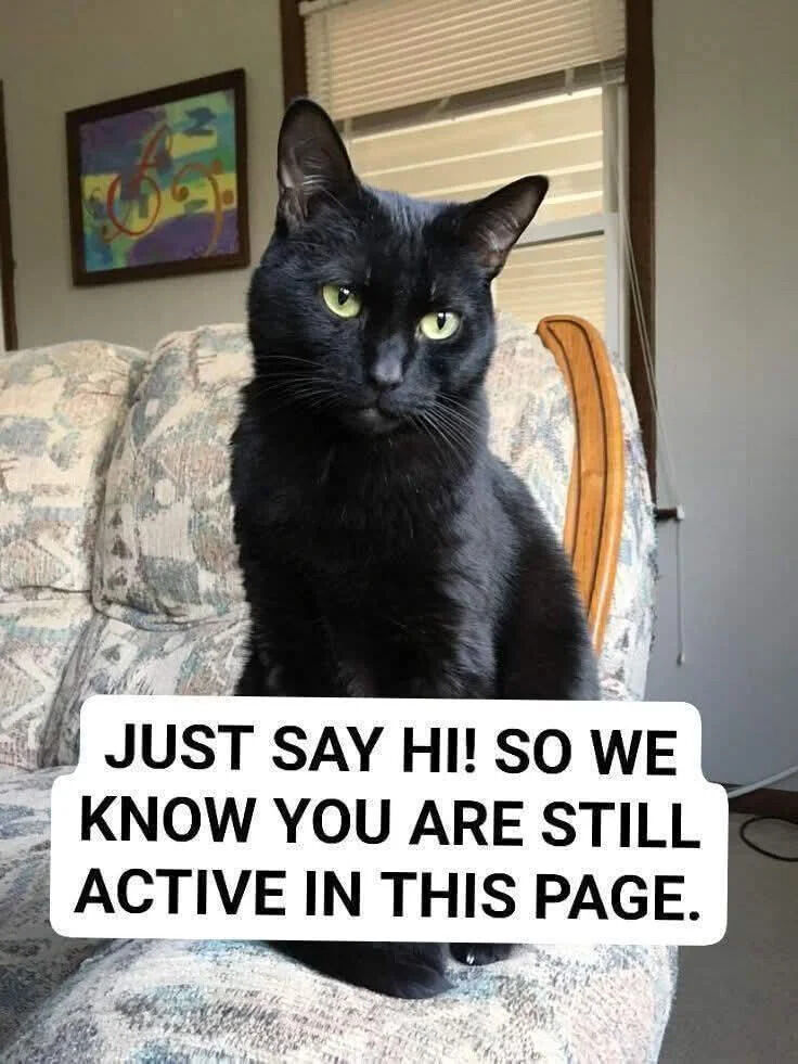 The image features a real black cat with pale green eyes sitting upright on a patterned vintage couch in a residential living room. A colorful abstract framed painting hangs on the wall behind the couch, and a window with closed blinds is visible in the background. The cat has a neutral, slightly unamused expression as it faces the camera directly. Overlaid on the lower portion of the image is bold black text on a rounded white background that reads: "JUST SAY HI! SO WE KNOW YOU ARE STILL ACTIVE IN THIS PAGE." The meme is designed as a lighthearted prompt to encourage social media engagement from page followers.