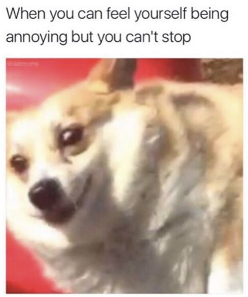 This meme has two sections: black text at the top on a white background that reads 'When you can feel yourself being annoying but you can't stop', placed above a blurry photograph of a fluffy light tan and white dog (likely a Corgi mix) with a smug, unapologetic facial expression looking slightly off-camera against a bright red background. The humor derives from the relatable feeling of being self-aware that you are being irritating, but being unable or unwilling to stop the behavior, which is perfectly embodied by the dog's cheeky expression.