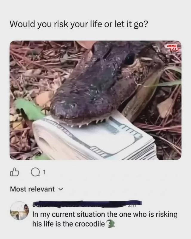 This meme poses a hypothetical question: *"Would you risk your life or let it go?"* paired with an image of a small real crocodile/alligator biting down on a stack of US dollar bills, resting on dry leaf-covered ground. Below the core meme, a user comment jokes: *"In my current situation the one who is risking his life is the crocodile 🐊"* — playing on the relatable dark humor of extreme financial desperation, framing the user as so broke they would confront the small reptile to take the cash, putting the animal in danger instead. The meme uses a real animal in a silly, relatable scenario about money struggles.