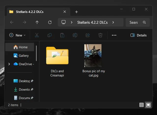 A screenshot of a file explorer window titled 'Stellaris 4.2.2 DLCs' displaying two items: a yellow folder named 'DLCs and Creamapi' and an image file named 'Bonus pic of my cat.jpg' which shows a photo of a cat. The left sidebar includes navigation options like Home, Gallery, OneDrive, Desktop, Downloads, and Documents. The window has a dark theme, typical of modern file explorers, with the OneDrive logo visible in the sidebar. The image humorously combines a gaming-related folder (likely containing DLCs for the game Stellaris and CreamAPI, a tool for managing game DLCs) with a casual personal touch of a cat photo, creating a lighthearted contrast between gaming setup and pet content.