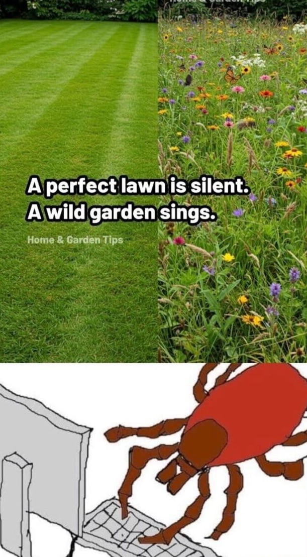 The image is divided into two main sections. The top half features a side-by-side comparison: on the left, a perfectly manicured, uniform green lawn; on the right, a vibrant wild garden filled with various colorful flowers (yellow, purple, red, white) and tall grass. Overlaid on this top section is the text: 'A perfect lawn is silent. A wild garden sings.' with 'Home & Garden Tips' in smaller font below. The bottom half is a simple hand-drawn illustration of a large red tick (or similar arachnid/bug) with brown legs, positioned near the base of a gray computer monitor, appearing to crawl towards it. The contrast between the ordered, 'silent' lawn and the lively, 'singing' garden is juxtaposed with the unexpected addition of the tick at the bottom, creating a humorous or puzzling twist.