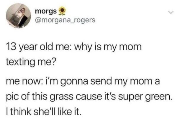 This image is a screenshot of a public X (formerly Twitter) post that presents a relatable two-part comparison of the poster's attitude towards communicating with their mother at different ages. As a 13-year-old, the poster was confused about why their mother would reach out to them via text. As an adult, the poster actively wants to send their mother a photo of unusually green grass, fully believing their mother will enjoy the small, mundane update. The post resonates with many people who experience a shift in their relationship with their parents as they mature, becoming more eager to share small, happy moments with family members.