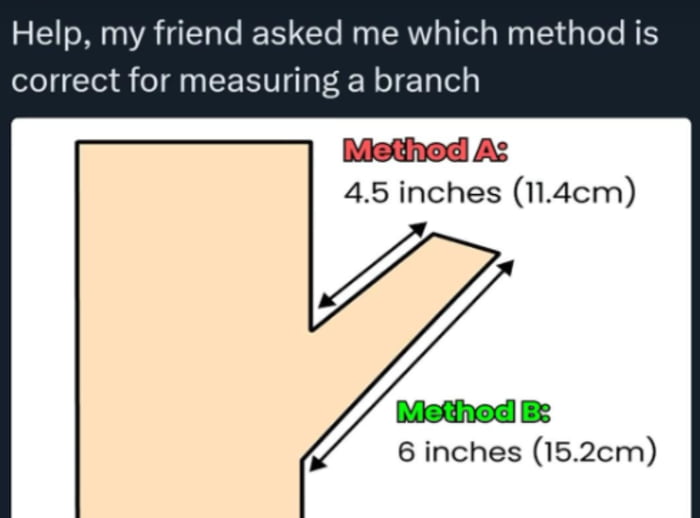 This is a suggestive comedy meme that relies on double entendre. The image shows a simple line drawing of a shape framed as a 'branch' that is clearly a stylized depiction of an erect penis. Two measurement methods are labeled: Method A measures the shorter inner diagonal of the protruding part, listed as 4.5 inches (11.4 cm), while Method B measures the full length of the protruding part from its bottom base to the tip, listed as 6 inches (15.2 cm). The top text reads 'Help, my friend asked me which method is correct for measuring a branch', leaning into the common 'asking for a friend' trope where the poster pretends the question is for someone else, when they are actually asking which method is standard for measuring penis size, as people often debate which measurement counts when reporting their penis length.