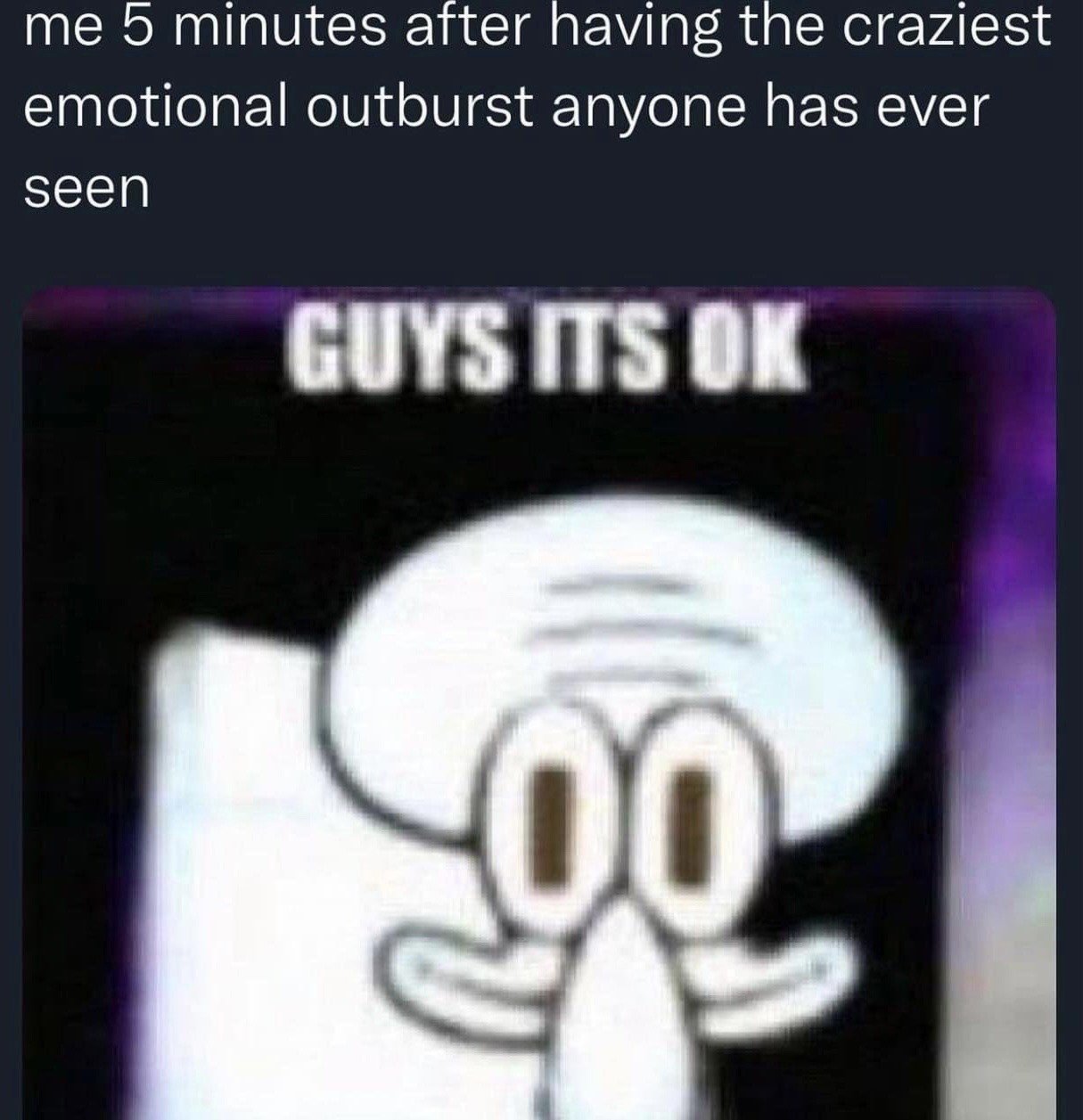 The meme consists of two text sections paired with a low-resolution, derpy edited image of Squidward Tentacles from SpongeBob SquarePants. The top text reads 'me 5 minutes after having the craziest emotional outburst anyone has ever seen'. Below this, the blurry Squidward image has the text 'GUYS ITS OK' above it, with Squidward holding both hands out in an unconvincing, disoriented reassuring gesture, looking completely zoned out and disheveled. The joke is highly relatable, mocking the common behavior of people awkwardly pretending everything is completely fine immediately after having an extreme, over-the-top emotional breakdown, even when they are clearly still not recovered.