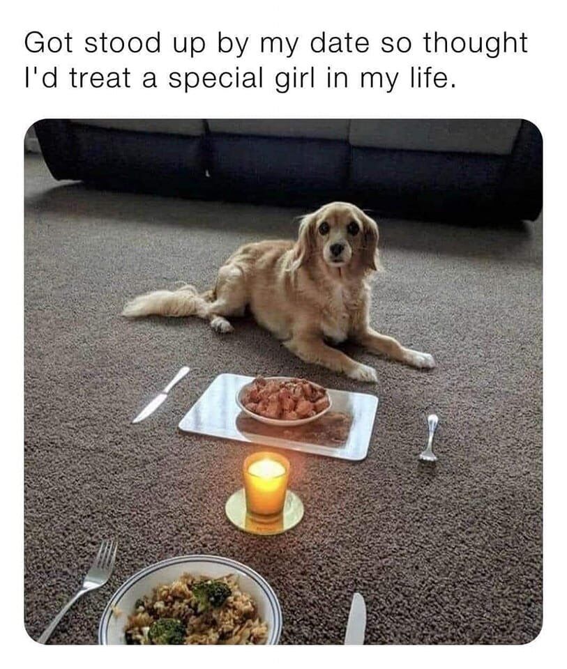 The image is a wholesome meme featuring a real light golden spaniel mix dog lying calmly on a carpeted living room floor, looking directly at the camera. A romantic at-home dinner setup is arranged on the carpet: a bowl of food for the dog sits on a small metal tray with a knife and spoon placed on either side, a lit yellow candle is placed in the center as a centerpiece, and another place setting with a plate of rice and broccoli plus cutlery is set across from the dog for the human owner. The text at the top of the meme explains that the owner was stood up by their planned date, so they chose to have a nice dinner with their beloved pet dog, who they refer to as the 'special girl' in their life, instead of being upset about the missed date.