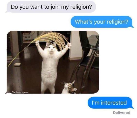 This meme combines a text message conversation with a viral photograph of two real domestic cats. The conversation starts with a message asking 'Do you want to join my religion?', the recipient replies asking 'What's your religion?', then the image of the cats is shared, followed by the reply 'I'm interested'. In the image, a white cat stands upright on its hind legs holding a large bundle of wheat stalks above its head, mimicking a religious leader presenting the symbol of his new religion, while a second cat looks up at him curiously. The joke plays on the absurdity of creating a whimsical cult/religion around this funny cat photo, leaning into the internet trend of absurd, silly internet 'religions' or cults centered on weird animal content.