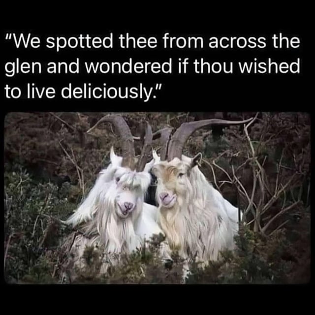 A meme featuring two white goats with long, curved horns sitting closely together among dense bushes and foliage. The goats have shaggy fur and appear calm, facing the camera. Above the image, there is a text overlay written in a formal, medieval English style: "We spotted thee from across the glen and wondered if thou wished to live deliciously." The humor arises from the contrast between the mundane, rural setting of the goats and the elevated, archaic language, creating a whimsical and absurd scenario.