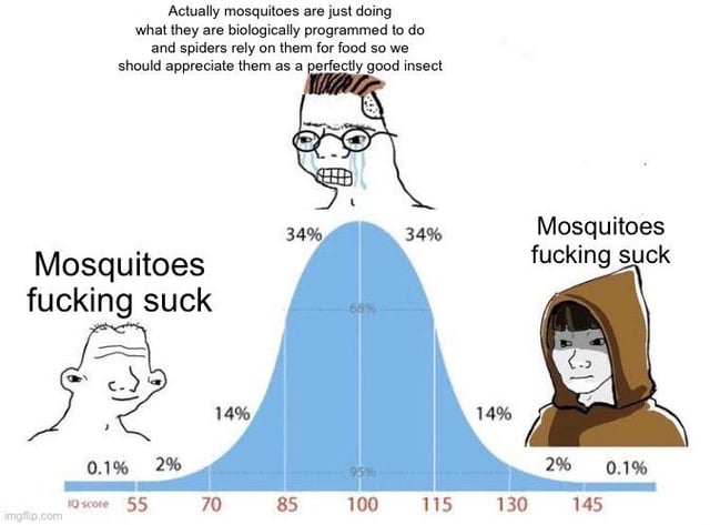 A meme using a bell curve labeled 'IQ score' (ranging from 55 to 145) to humorously depict public opinion on mosquitoes. At the top, a distressed animated character with glasses appears above text defending mosquitoes: 'Actually mosquitoes are just doing what they are biologically programmed to do and spiders rely on them for food so we should appreciate them as a perfectly good insect.' The bell curve displays percentages (0.1%, 2%, 14%, 34%, 34%, 14%, 2%, 0.1%) indicating opinion distribution. On the left side (lower IQ scores), a simple animated character with a smirk is labeled 'Mosquitoes fucking suck'; on the right side (higher IQ scores), another animated character in a brown hoodie shares the same label. The meme讽刺ly suggests that regardless of perceived intelligence, most people agree mosquitoes are unpleasant, with only a small minority (the curve's peak) defending them. The watermark 'imgflip.com' is visible at the bottom left.