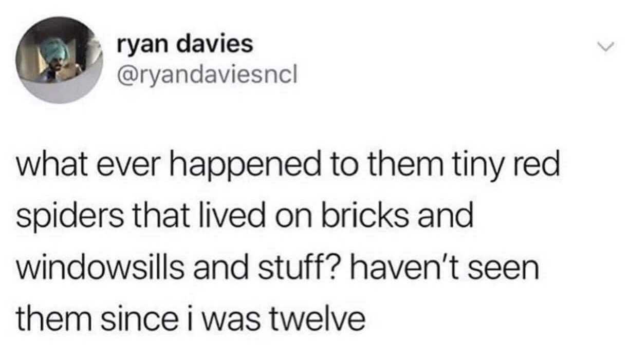 This is a screenshot of a public X (formerly Twitter) post from user ryan davies, handle @ryandaviesncl. The post asks a widely relatable question about the apparent disappearance of small red spiders that were commonly found living on bricks, windowsills, and other outdoor surfaces when people were children. The poster notes they have not seen these spiders since they were 12 years old, and the content has spread as a nostalgia meme for people who share this same childhood observation.