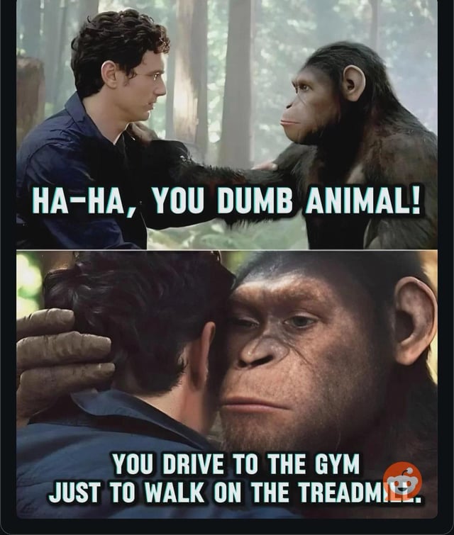 This is a 2-panel meme using a scene from the live-action film *Rise of the Planet of the Apes*. In the first panel, human character Will Rodman mockingly calls the ape Caesar a dumb animal. In the second panel, Caesar pulls Will close to his face and points out the hypocritical human habit of driving to a gym just to walk on a treadmill, framing the human as the irrational one. The meme aligns with the original poster's statement that they are glad to own and use a home gym, avoiding this illogical behavior.
