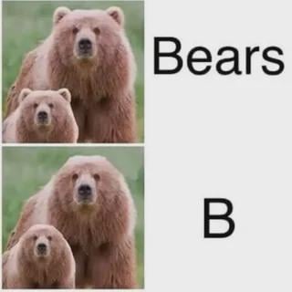This is a 2-panel visual and phonetic pun meme. The first panel shows an adult brown bear standing behind a bear cub on the left, with the word 'Bears' printed to the right of the image. The second panel removes the larger adult bear from the left side, leaving only the cub, and the text on the right is reduced to just the letter 'B'. The joke relies on English phonetic similarity: the word 'Bears' can be split phonetically to sound like 'B' plus 'ears', and 'ears' has a similar pronunciation to 'bears', so removing the bears (as a stand-in for the 'ears' part of the word) leaves only the letter 'B' remaining, matching the visual change.