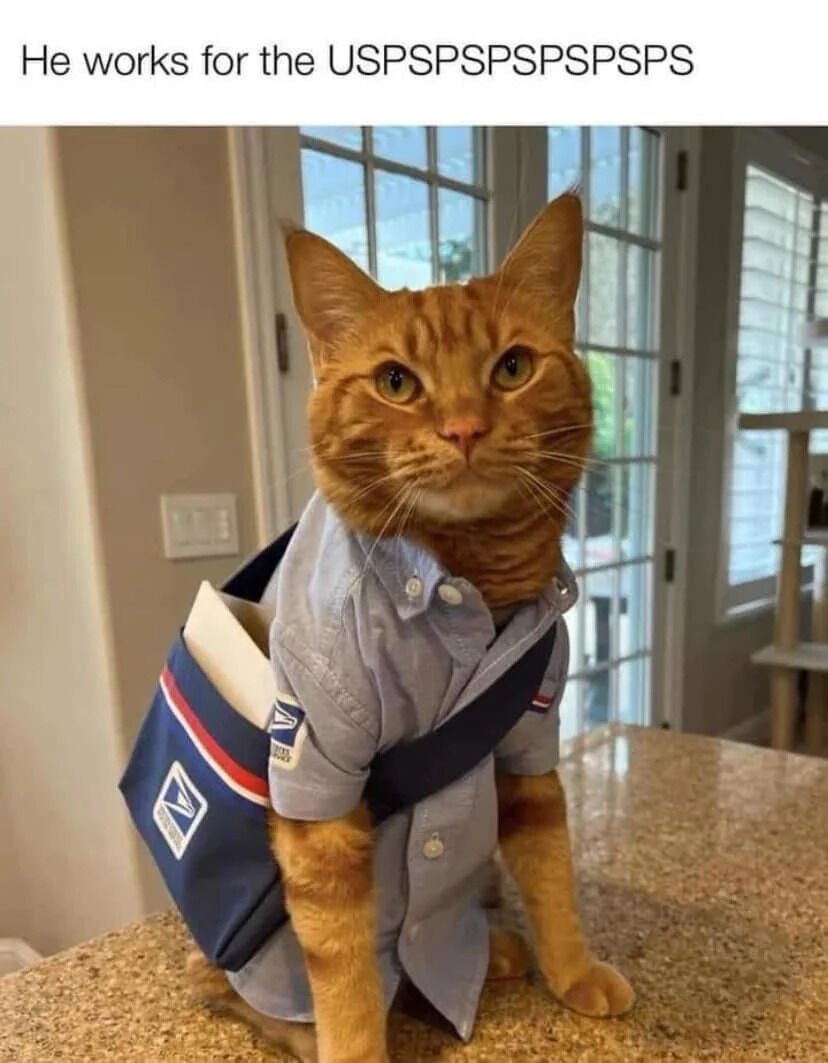 A photograph of an orange tabby cat sitting on a kitchen countertop, dressed in a light blue short-sleeved shirt resembling a USPS uniform (with a USPS patch on the sleeve) and a blue mailbag with red and white stripes slung over its shoulder. The cat has a serious, focused expression with wide green eyes, giving the impression of a dedicated postal worker. Behind the cat is a glass door with a view of greenery outside, and the indoor setting includes a light-colored wall and a kitchen counter. The top text overlay reads 'He works for the USPSPSPSPSPSPS', where 'USPS' is humorously extended with repeated 'PS' to mimic a playful stutter or exaggeration of the United States Postal Service acronym.