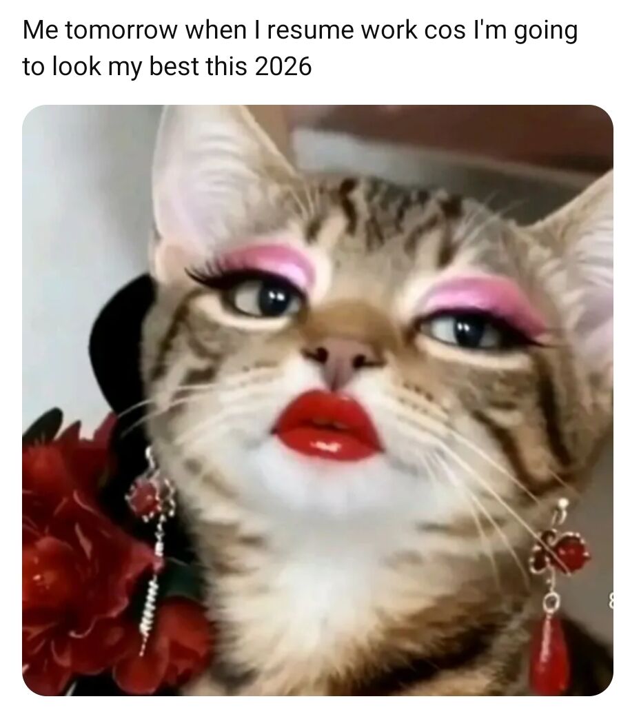 A humorous image of a cat edited to wear makeup (pink eyeshadow, red lipstick) and accessories (earrings) with text above stating the cat represents the poster getting ready to resume work and look their best in 2026.