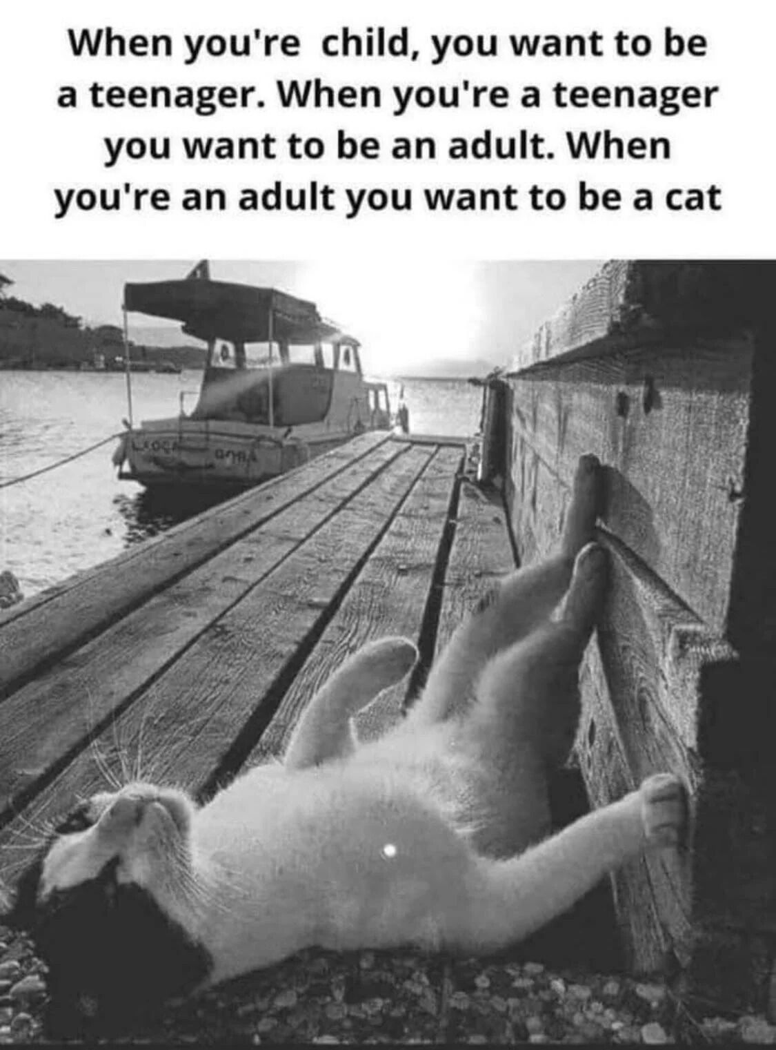A meme featuring a humorous text overlay and a serene black-and-white photograph. The top text reads: 'When you're child, you want to be a teenager. When you're a teenager you want to be an adult. When you're an adult you want to be a cat,' playfully contrasting the progression of life stages with the relatable desire for the carefree existence of a cat. Below the text is a black-and-white image of a cat lying on its back on a wooden dock, legs splayed comfortably against the dock's edge, with a boat moored in calm water and sunlight in the background, emphasizing the cat's peaceful, relaxed state that adults might envy.