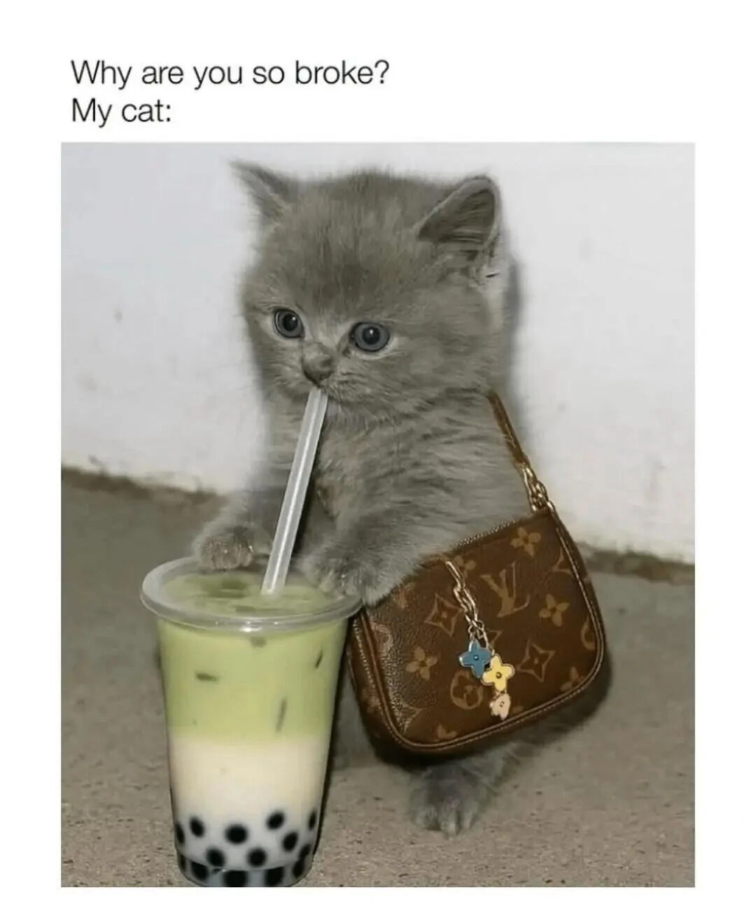A meme featuring a top text 'Why are you so broke? My cat:' followed by a photograph of a small gray kitten. The kitten has wide blue eyes and is positioned sitting on the ground, holding a clear plastic cup of bubble tea with a white straw in its mouth. It wears a small brown Louis Vuitton purse with a gold chain and decorative charms. The humor stems from the playful implication that the cat is the reason for the owner's financial situation, as it indulges in expensive items like bubble tea and designer accessories.