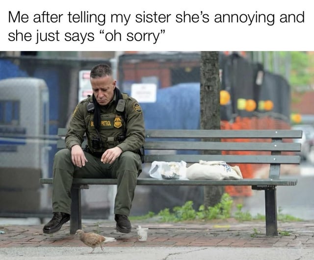 A meme featuring a top text description: 'Me after telling my sister she's annoying and she just says "oh sorry"'. Below the text is a photograph of a police officer sitting on a public bench. The officer appears dejected, with his head slightly bowed, hands resting on his legs, and a solemn expression. Next to him on the bench are plastic bags, and a small pigeon stands on the ground near his feet. The image humorously visualizes the letdown or anticlimactic feeling when expecting a stronger reaction (e.g., argument, defense) but receiving only a casual, underwhelming apology.