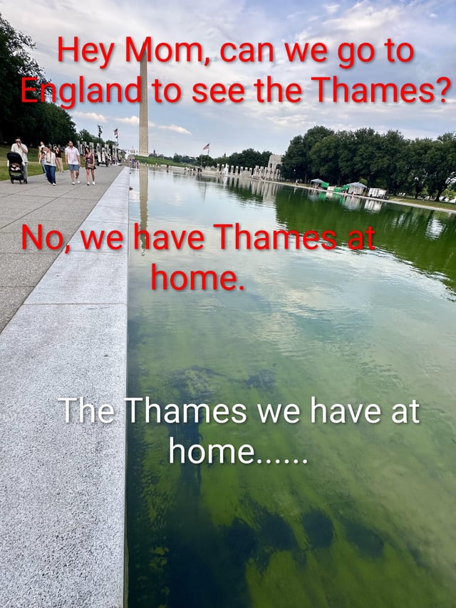 This meme follows the popular "we have [desired item] at home" comedic format. The top red text shows a child asking their mother if they can travel to England to visit the River Thames. The middle red text is the mother's reply rejecting the request, saying they have the Thames at home. The bottom white text reveals the so-called "Thames at home" is the algae-choked, murky green Lincoln Memorial Reflecting Pool in Washington DC, with the Washington Monument visible reflected in the water and tourists walking along the adjacent sidewalk, poking fun at the polluted state of the reflecting pool as an inferior knockoff of the actual Thames.