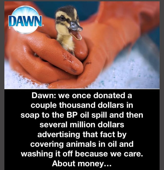 The image consists of two sections. The top section is a photograph featuring a pair of orange-gloved hands gently holding a small duckling, surrounded by white soap suds, with the 'DAWN' logo visible in the top left corner, likely from Dawn's original advertising material related to the BP oil spill. The bottom section is a black rectangular text box with white text that reads: 'Dawn: we once donated a couple thousand dollars in soap to the BP oil spill and then several million dollars advertising that fact by covering animals in oil and washing it off because we care. About money...' This text critically satirizes Dawn for prioritizing advertising their charitable donation over the actual act of charity, implying profit-driven motives behind their environmental efforts.