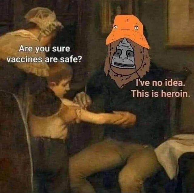 A satirical meme featuring a modified classic painting. The scene depicts an adult (likely a medical professional) and a child, with the adult's face replaced by a humorous meme character wearing an orange hat and a bearded, confused expression. The adult character asks, 'Are you sure vaccines are safe?' while the meme character responds, 'I've no idea. This is heroin.' The contrast between the serious context of vaccination and the absurd claim about heroin creates a sarcastic tone.